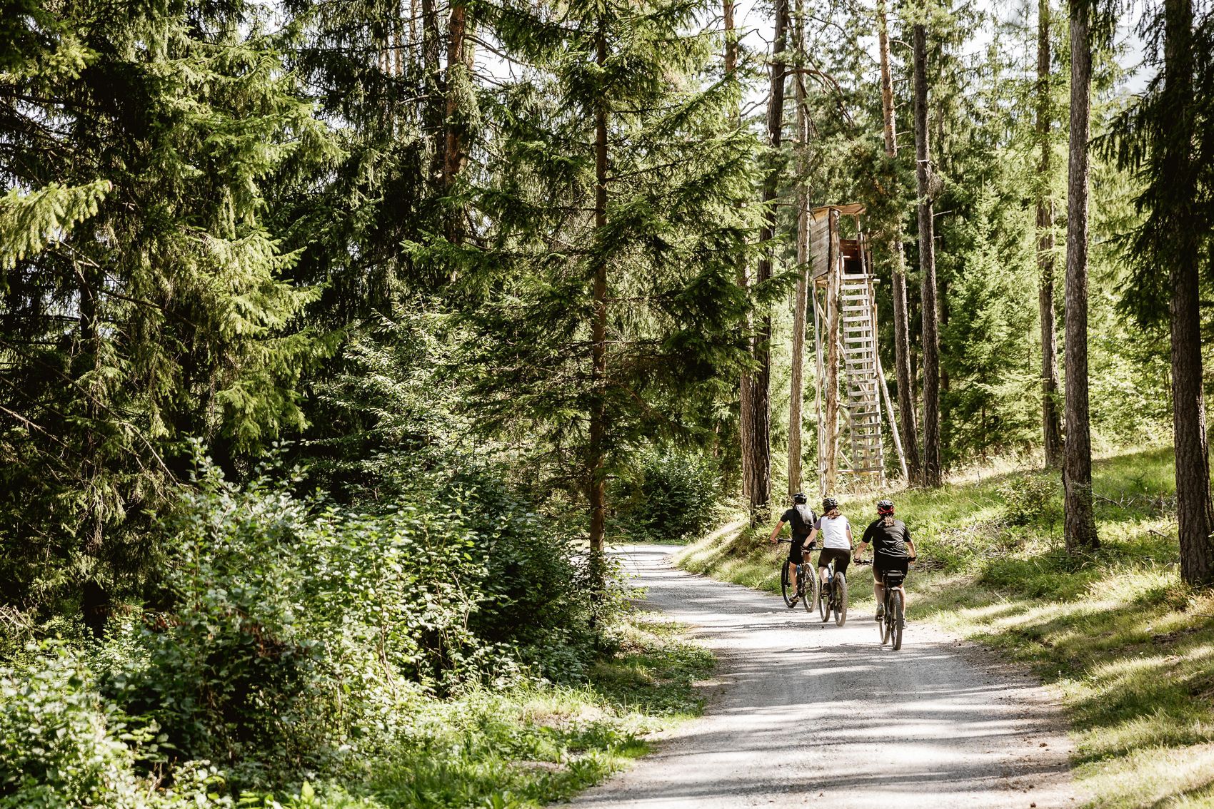 Fahrradfahrer fahren auf Radweg durch den Wald