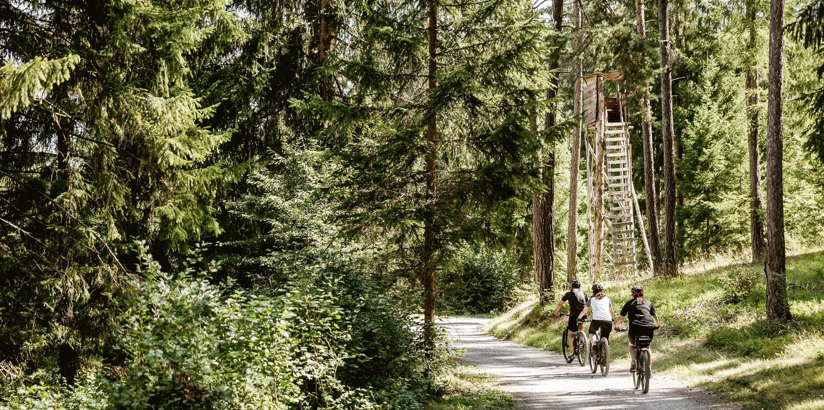 Fahrradfahrer fahren auf Radweg durch den Wald