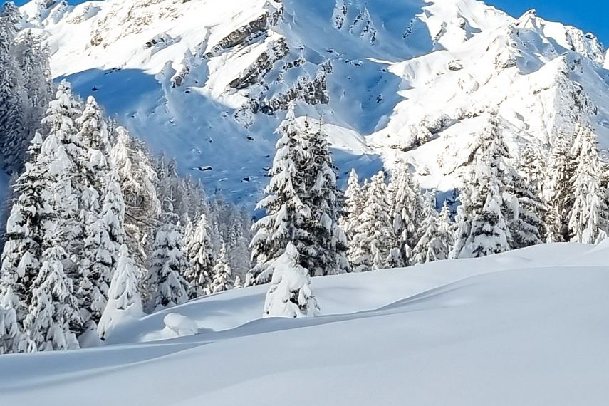 2023-Snowshoe hike-Opferstock-Latschenhütte-©Silvia (3)-1