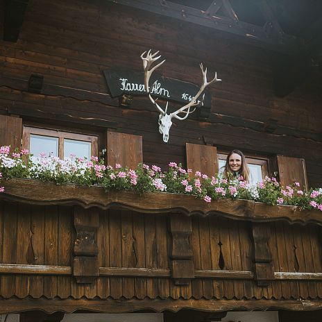 Karreralm Alpenblicke