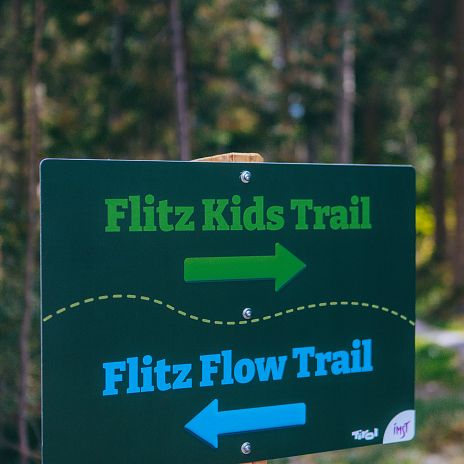 Trails Flitz Family Trail Wald