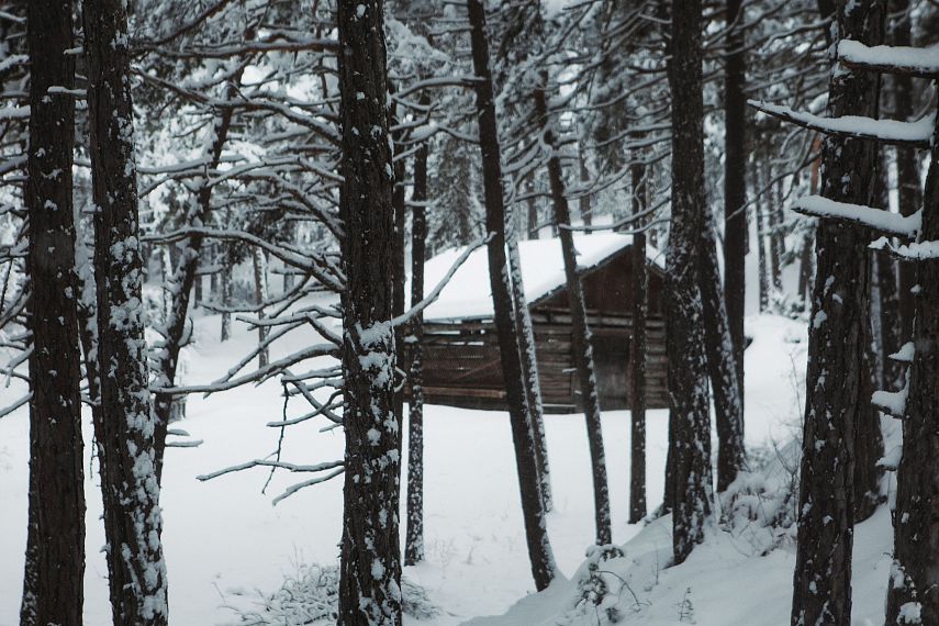 Winterwandern rund um die UAlm