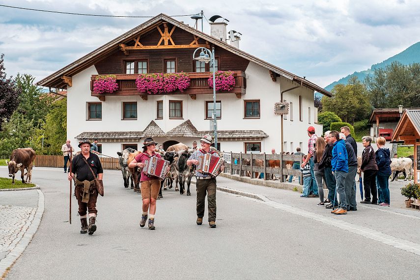 culture needs almabtrieb roppen imst tyrol