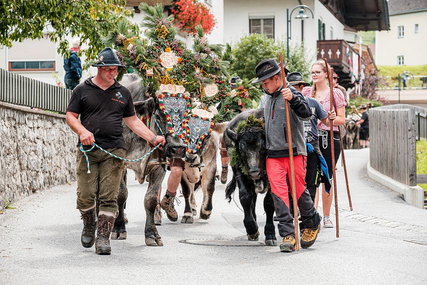 Almabtrieb in Roppen