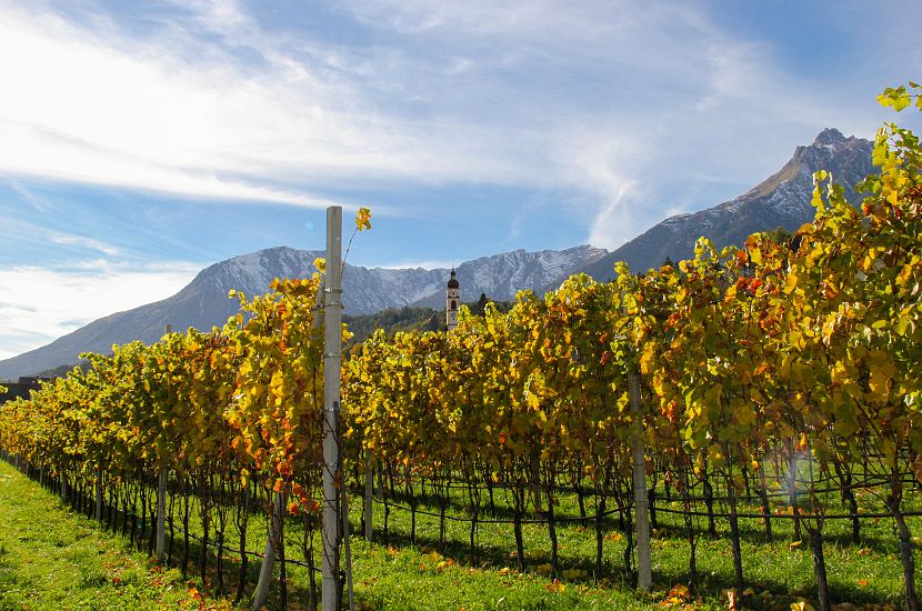 2015-Culture & Customs-Winery Tangl-Tarrenz-©Winery Tangl (1)-1