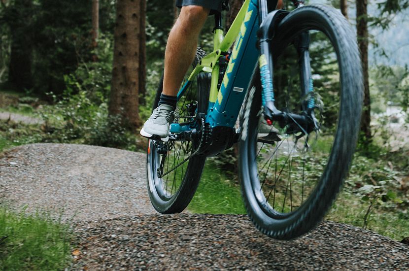 Flitz Family Trail Wald