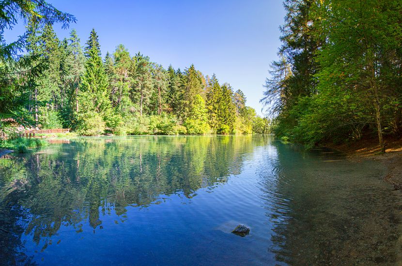 The Starkenberger See surrounded by tress and nature.