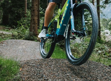 Ein Radfahrer auf einem Mountainbike fährt durch einen Wald. Die Beine des Fahrers sind sichtbar, während er sich auf das Terrain konzentriert. Um ihn herum sind grüne Bäume.