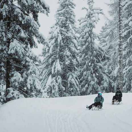 2026-non-skiing-winter-winterwandern-rodel-schneeschuh-ualm-imst-tourismus-33-1