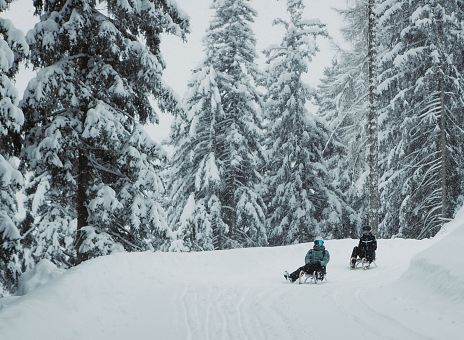 2026-non-skiing-winter-winterwandern-rodel-schneeschuh-ualm-imst-tourismus-33-2