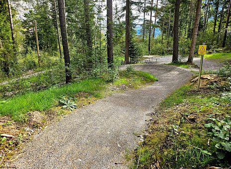 Eine kurvenreiche, asphaltierte Wegführung schlängelt sich durch einen grünen Wald. Hohe Bäume und frisches Laub umgeben den Weg, der sanft ins Grüne führt.