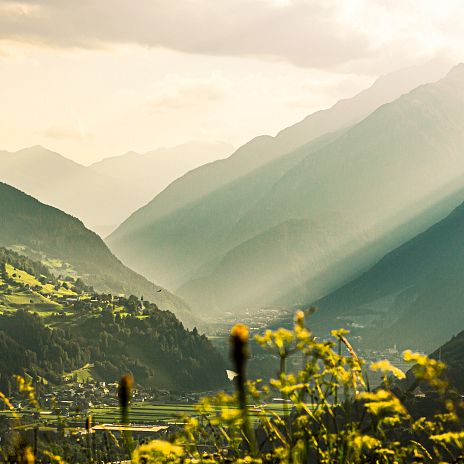 imsterberg-entspannung-im-sommerurlaub-im-bergdorf-ueber-dem-inntal-tirol-12