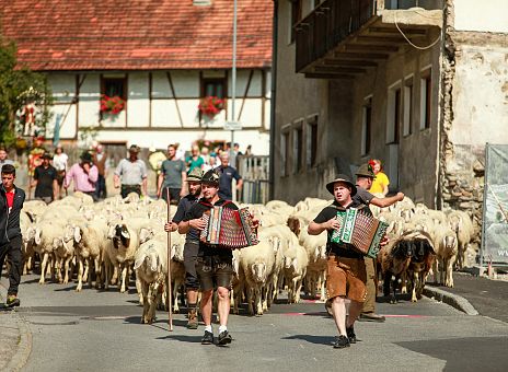 kultur-brauchtum-almabtrieb-imst-tirol-2