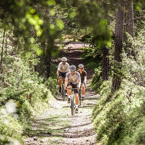 Zu sehen sind drei Radfahrer, die mit Rädern auf einem Weg in der Natur fahren.