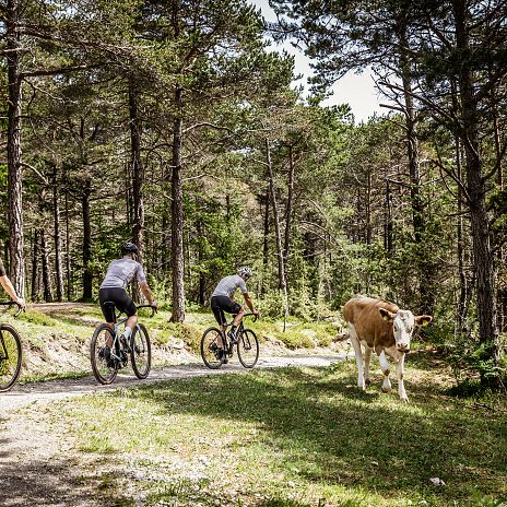 sommer-biken-gravelbike-imst-tirol-3-1