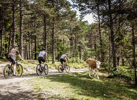 sommer-biken-gravelbike-imst-tirol-3-2
