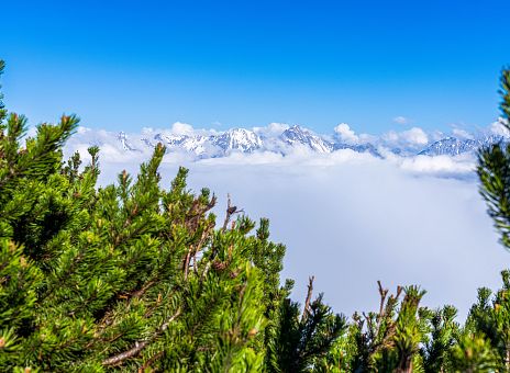 sommer-trailrunning-tschirgant-skyrun-imst-tirol-c-michael-rackl-3-2