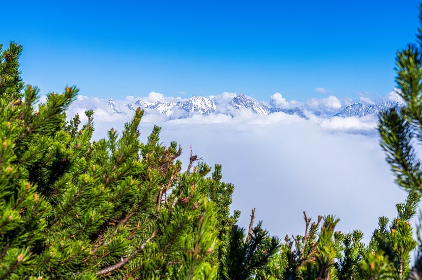 sommer-trailrunning-tschirgant-skyrun-imst-tirol-c-michael-rackl-3