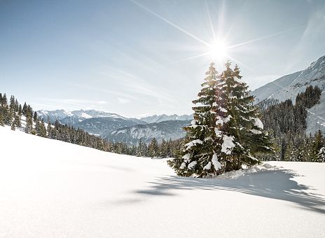 tvb-imst-winter-landschaften-west-6129817-2